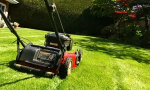 Lawn Care Services in Manchester