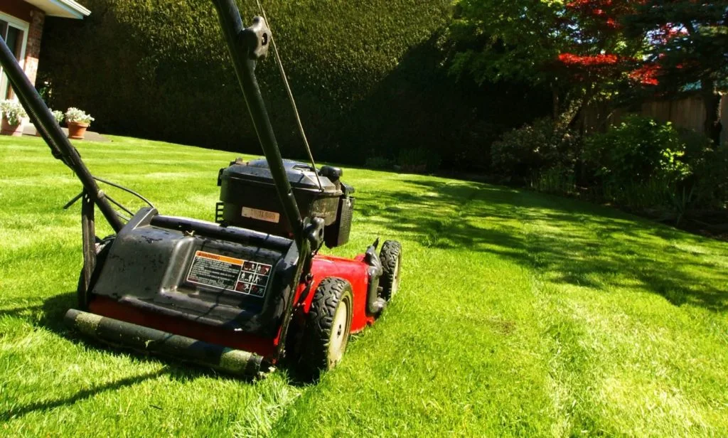 You are currently viewing The Best Lawn Care Services in Manchester, UK