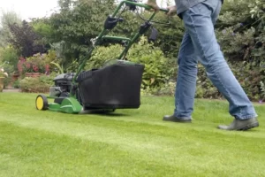 Read more about the article Lawn Mowing and Block Paving Services in Manchester, UK